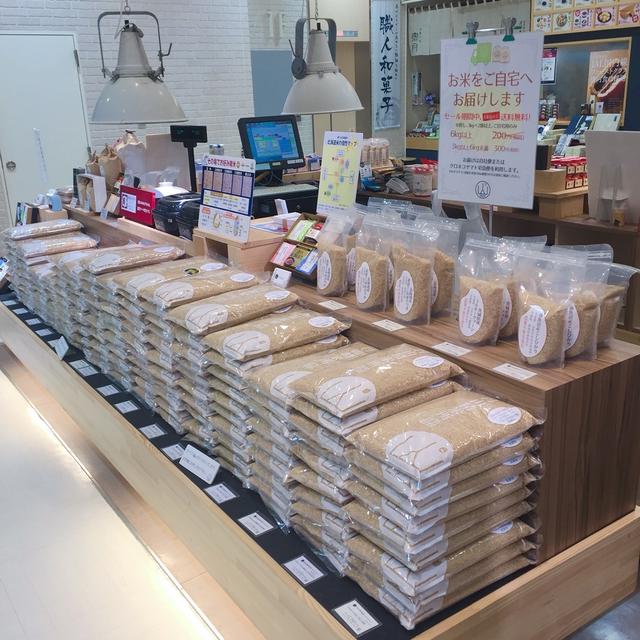 玄米とぬか床＠円山精米所