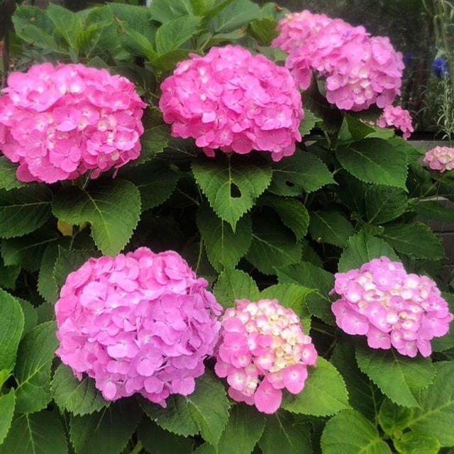 【プチプラ美容】乾燥や保湿ケアに❤️優秀スキンケア