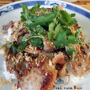 豚肉丼ベトナム風 気になる音 By カリフォルニアのばあさんさん レシピブログ 料理ブログのレシピ満載