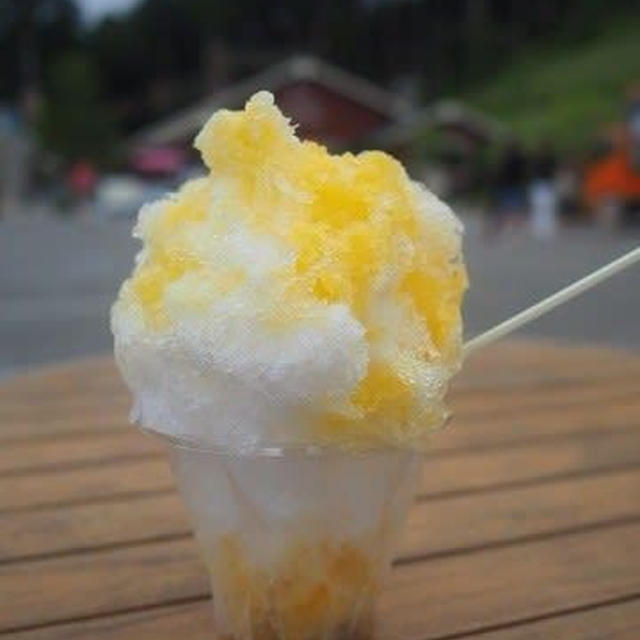 今日のアイス♪  三島スカイウォークで食べた氷屋bebeのかき氷！