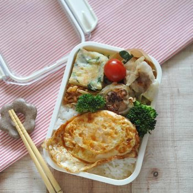 女子大生弁当