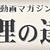 辛さ極まる！唐辛子をたっぷり使った激辛ソース「刴椒」の簡単な作り方