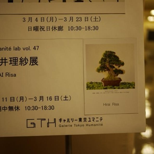 平井理沙展＠ギャルリー東京ユマニテ。