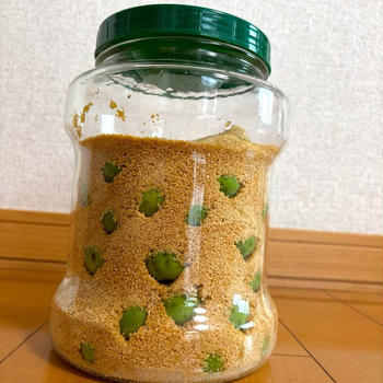 梅シロップ作り⭐︎初日