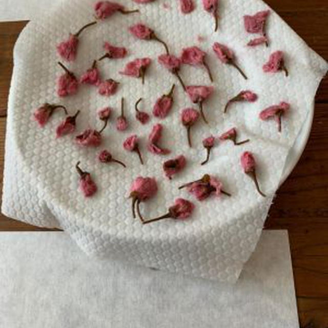 お茶と食事のワークショップ