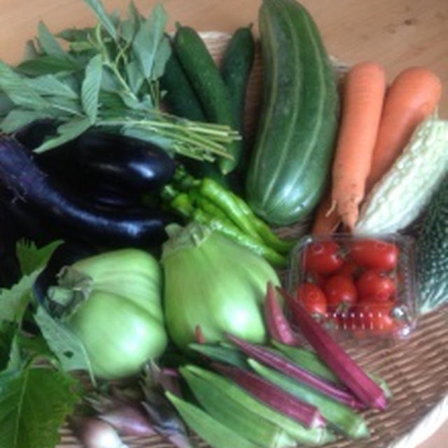 旬の有機野菜◆８月1週もうり農園の野菜セット