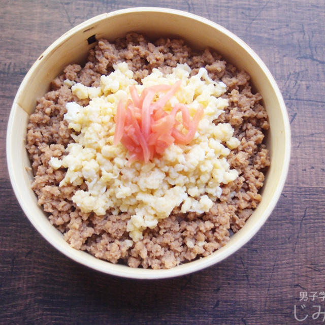 【地味弁】そぼろ弁当と、ナンチャンとサカナクション