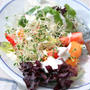 Strawberry Cantaloupe Salad with Yogurt Dressingヨーグルトドレッシングで苺とメロンのサラダ