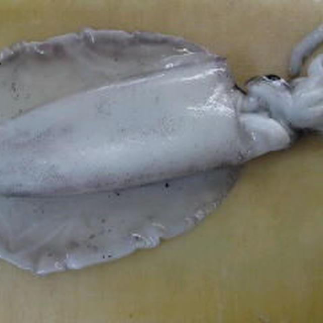 アオリイカの皮の剥き方 刺身 By 魚屋さんさん レシピブログ 料理ブログのレシピ満載