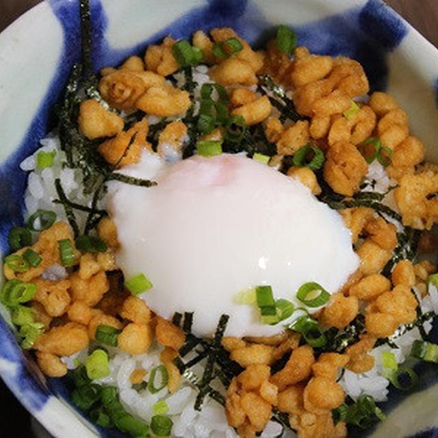 7月1日　　たぬき丼