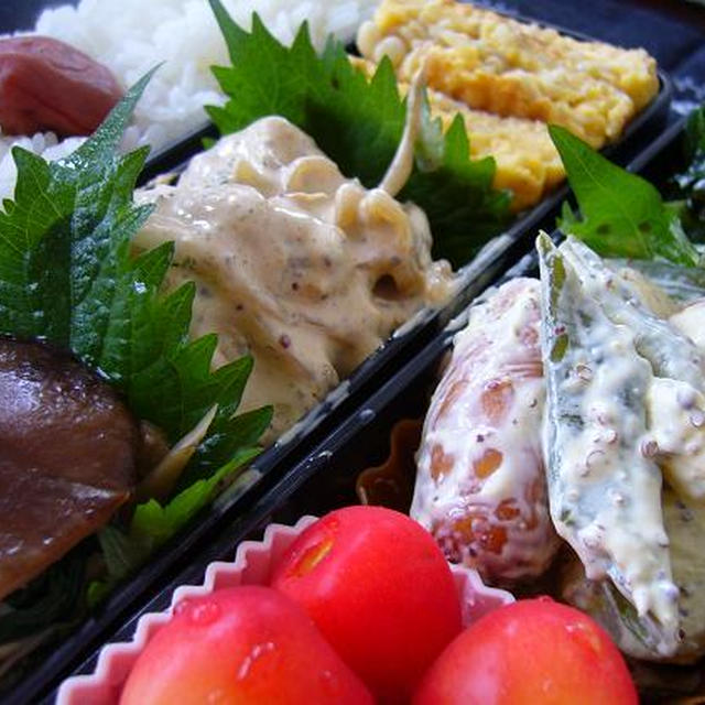 蒸し鶏のカレーマヨソース弁当～☆