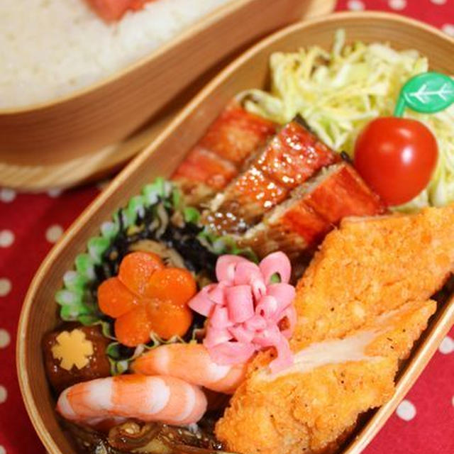 普通弁**有り物弁当
