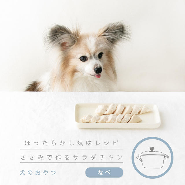 犬には犬のサラダチキンを作ってあげよう 手作り犬おやつレシピ By 犬ごはん先生 いちかわあやこさん レシピブログ 料理ブログのレシピ満載