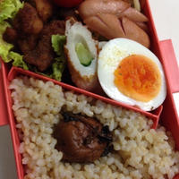ダンさんお弁当・唐揚〜