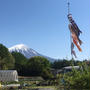 こいのぼりと富士山