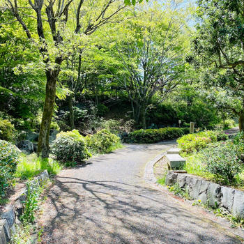 不動産の仕事の楽しみ〜知らない街を歩ける〜