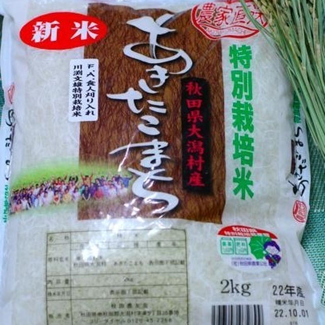 さぁ、新米！②（食人さんの新米と、山本益弘先生の講話より）