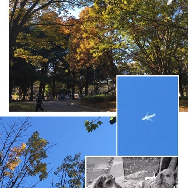 紅葉を楽しみながら。。