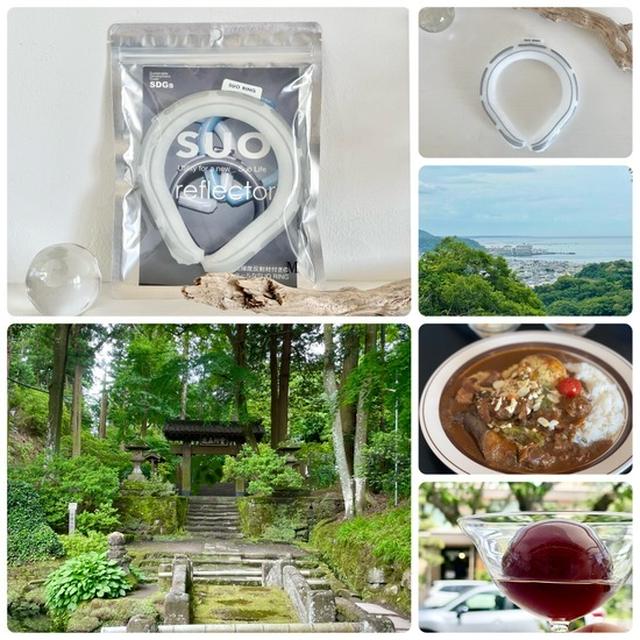【PR】「SUO」を付けて鎌倉ハイキング&カレーランチとコーヒーゼリー
