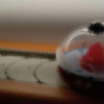 未確認寿司ネタ。
