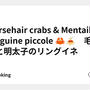 Hprsehair crabs & Mentaiko Linguine piccole 🦀🍝　毛ガニと明太子のリングイネ
