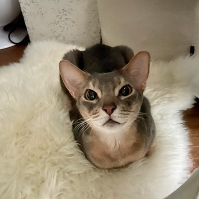 パネルヒーターの前にいた