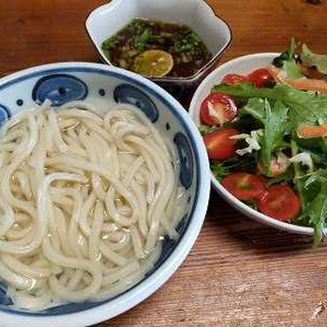 釜揚げうどんと菜園サラダ