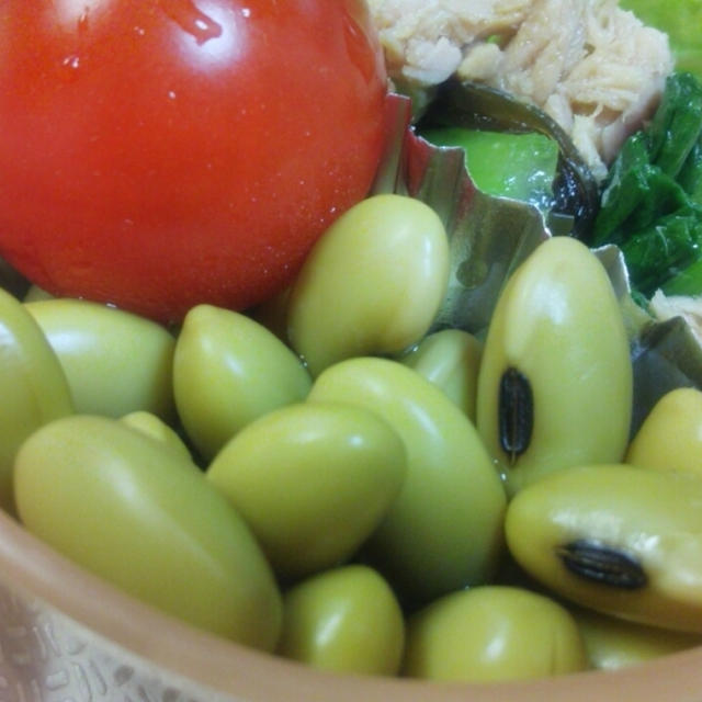 圧力鍋で簡単に青大豆のひたし豆
