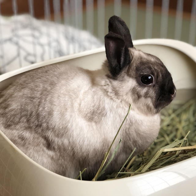 今日のおこめさん♡♡