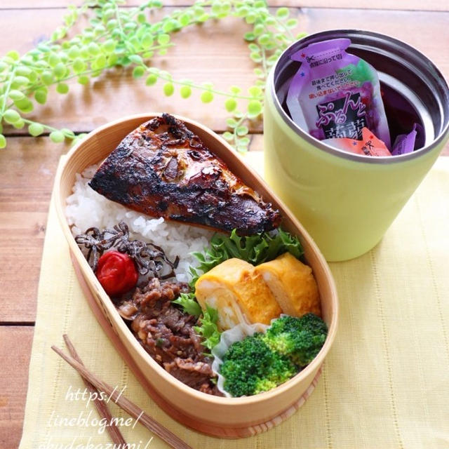 塩サバと蒟蒻ゼリー弁当【本日のお弁当】