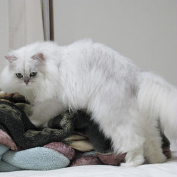 お〜い、まるちゃん〜！