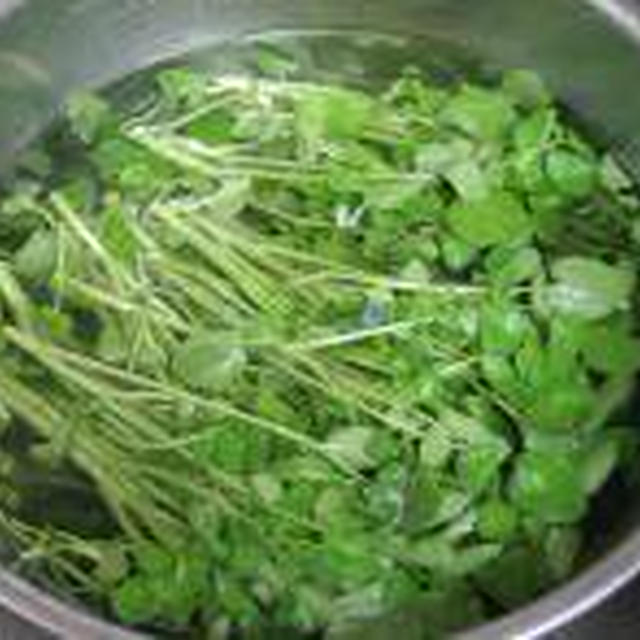 今日の晩ごはんは草食系で？