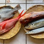魚のお取り寄せ＿2022年10月　♪秋刀魚の塩焼き・鯵の酢油漬け等♪