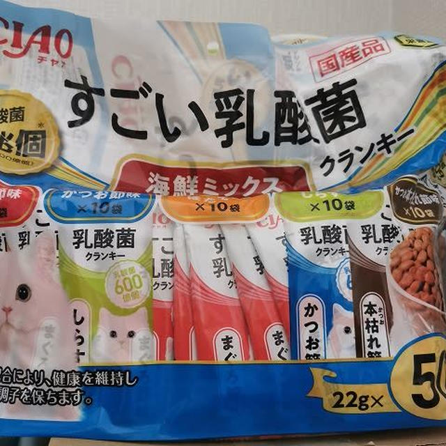 猫のお昼