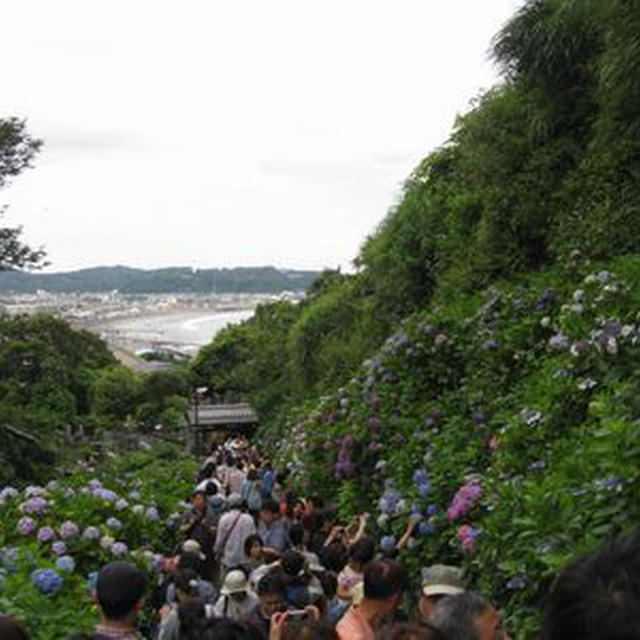 成就院～ロケ地