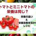 トマトとミニトマトって同じ栄養？どっちを食べるか迷った時はミニトマト！栄養効果が活かせるレシピ