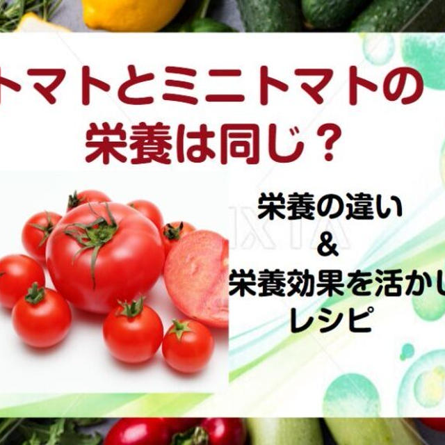 トマトとミニトマトって同じ栄養？どっちを食べるか迷った時はミニトマト！栄養効果が活かせるレシピ