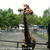 旭山動物園！