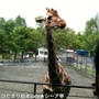 旭山動物園！