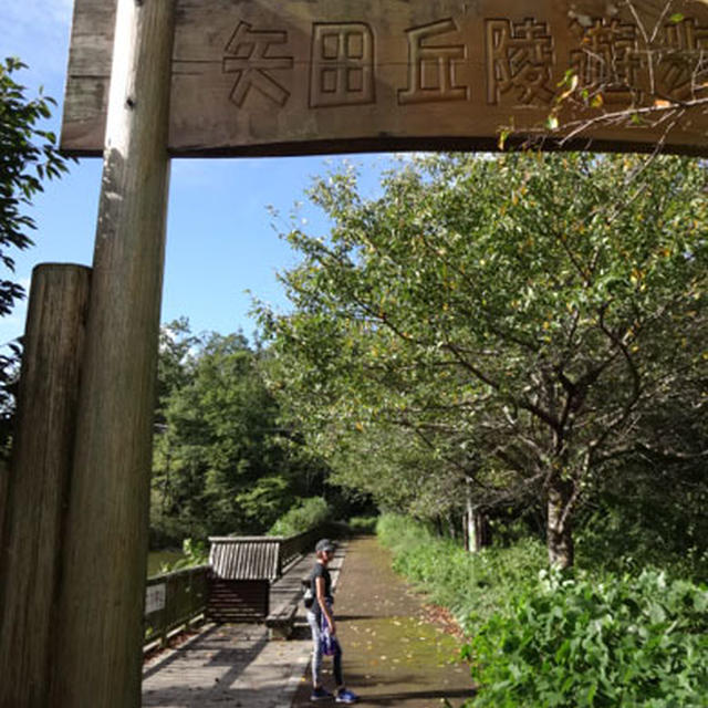 9/23の矢田丘陵トレイルラン（10.7km）