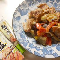 チューブペーストで手軽に味付け！豚肉と野菜の炒め物