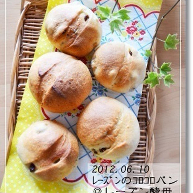 復習生地★ラムレーズンのコロコロパン