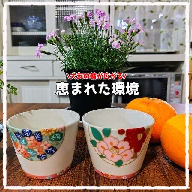 犬友の輪