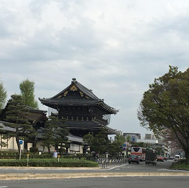 まだ桜咲いてま～す(^^) in KYOTO！！