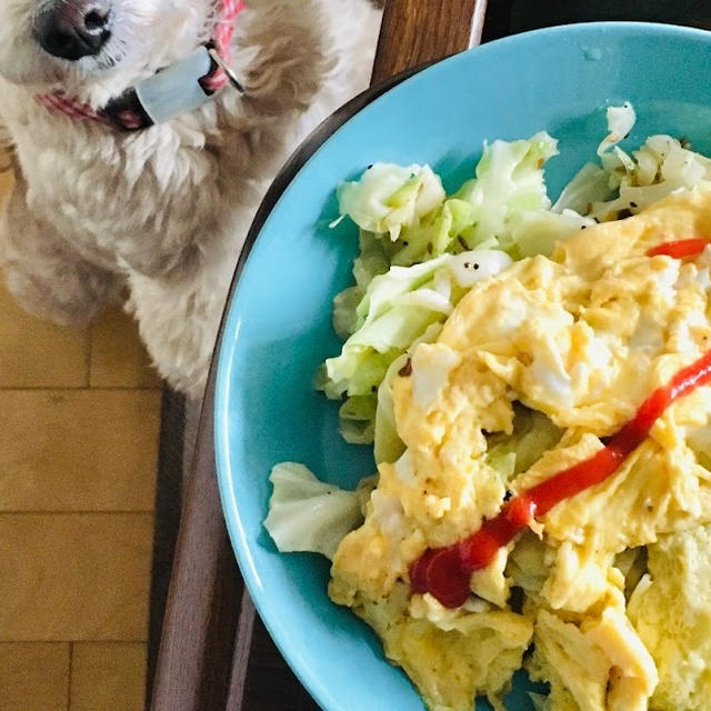 卵のせキャベツ