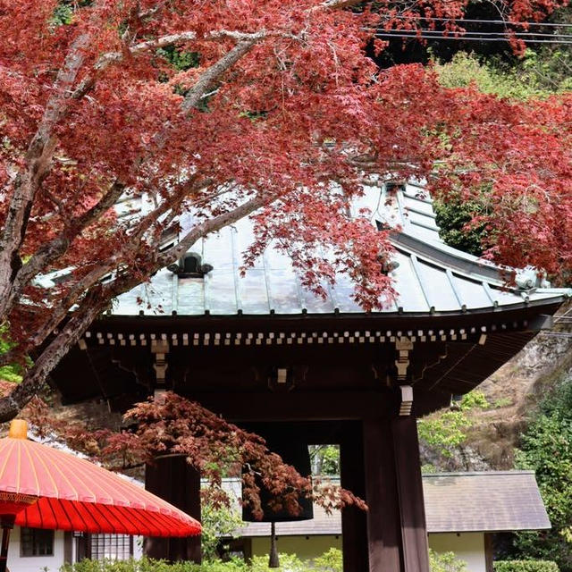 海蔵寺は美しい寺院でした