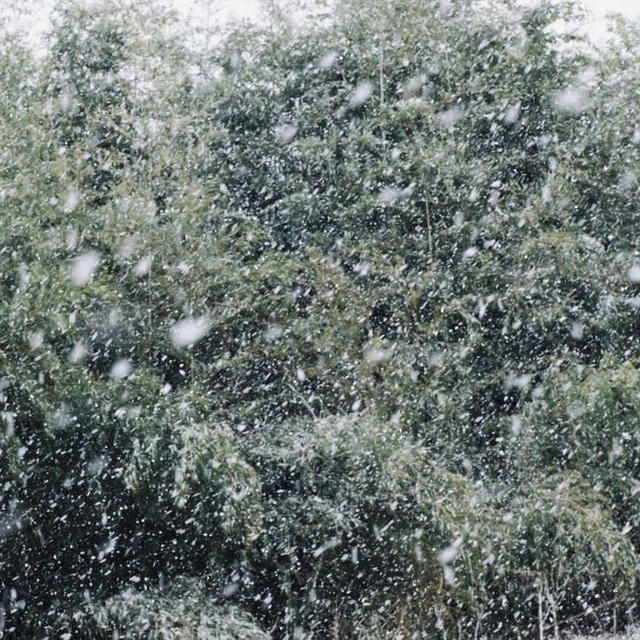 初雪20231217