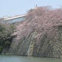 南石的花見会☆姫路城～シロトピア公園で桜と美味しい酒で大宴会