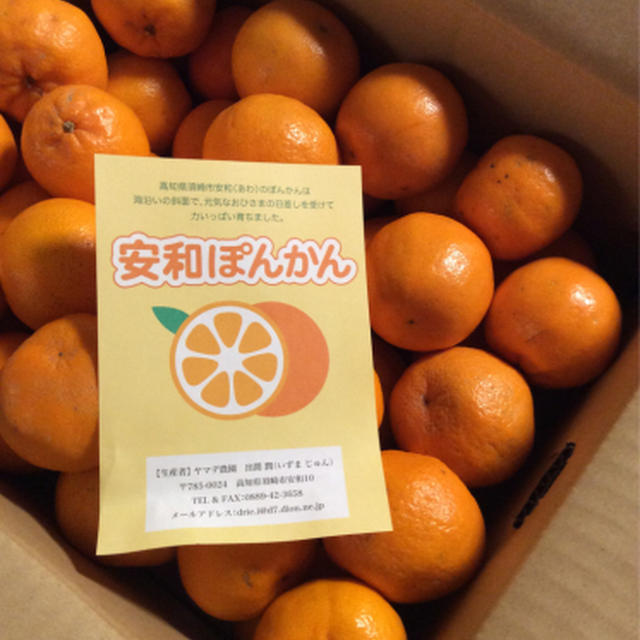 ふるさと納税2015の結果