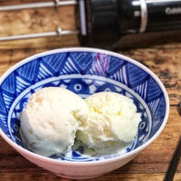 ハンドブレンダーでヨーグルトアイス